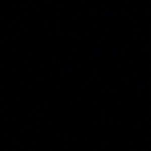 Meet your Posher, Addison